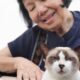 Grandmother petting a cat